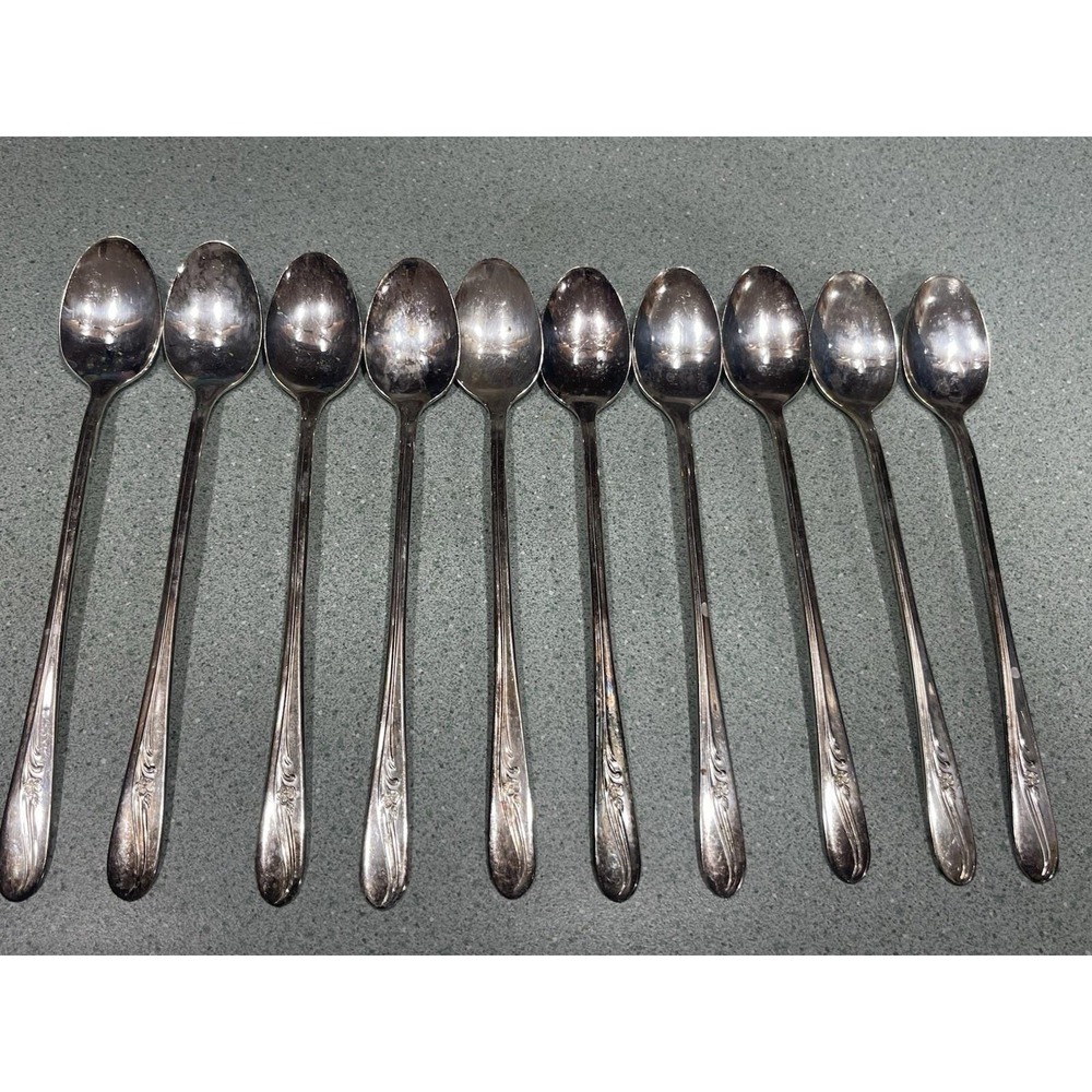 Vintage Tea Spoons Meadow Flower H. T. MFC Co Set 0f 10